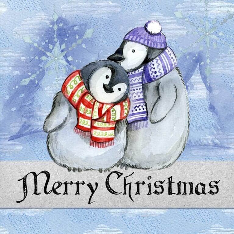 Dvaja tuliaci sa tučniaky so šálmi na modrom zamrznutom pozadí s prianím Merry Christmas