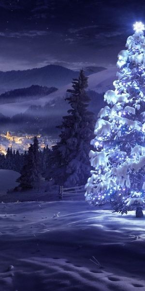 Pohľad na temnú zimnú krajinu s rozžiareným smrekom