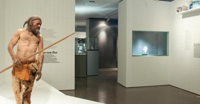 Ľadový muž v archeologickom múzeu v Bolzane.